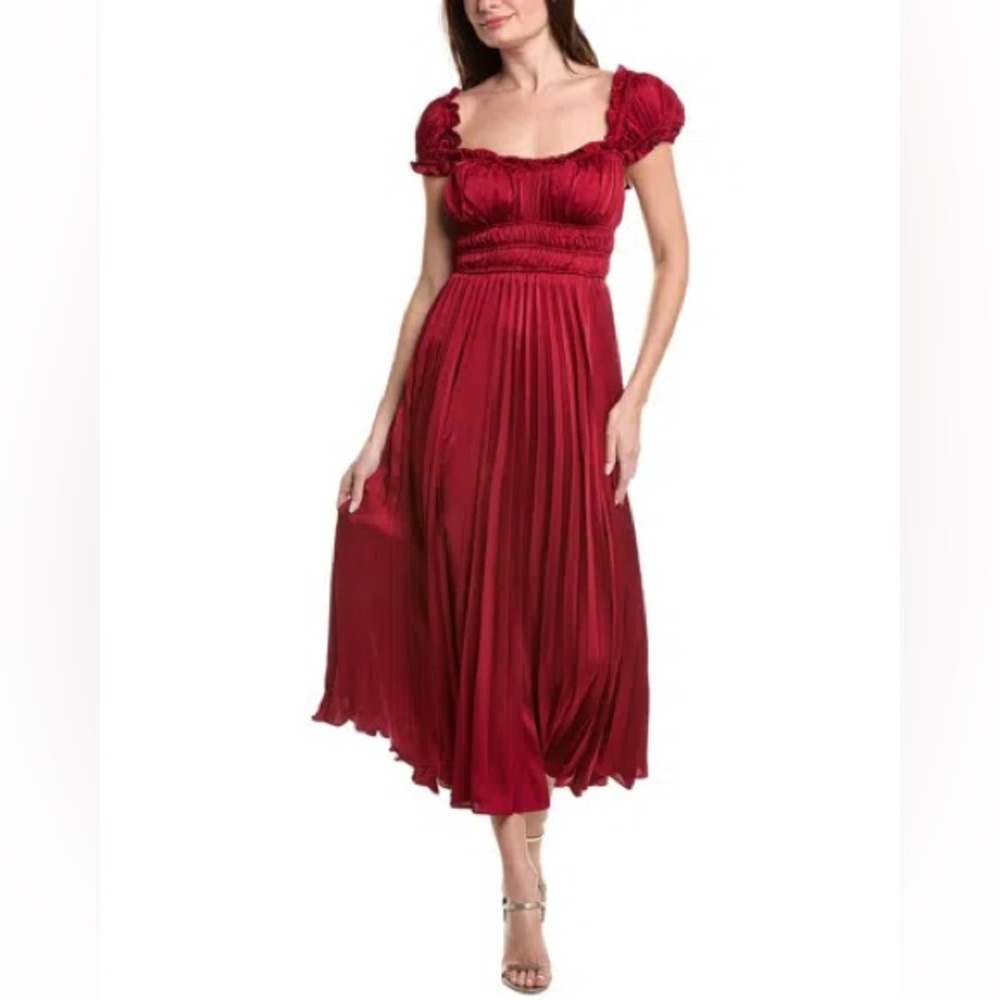 NWOT Taylor Ruffle Maxi Dress - 6